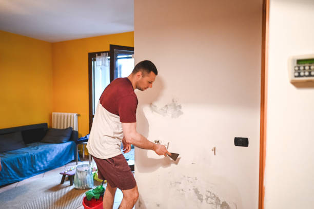 Best Crawl Space Mold Removal  in Shamokin, PA